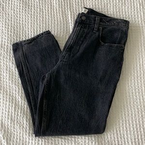 Abercrombie and Fitch The Mom High Rise 30S